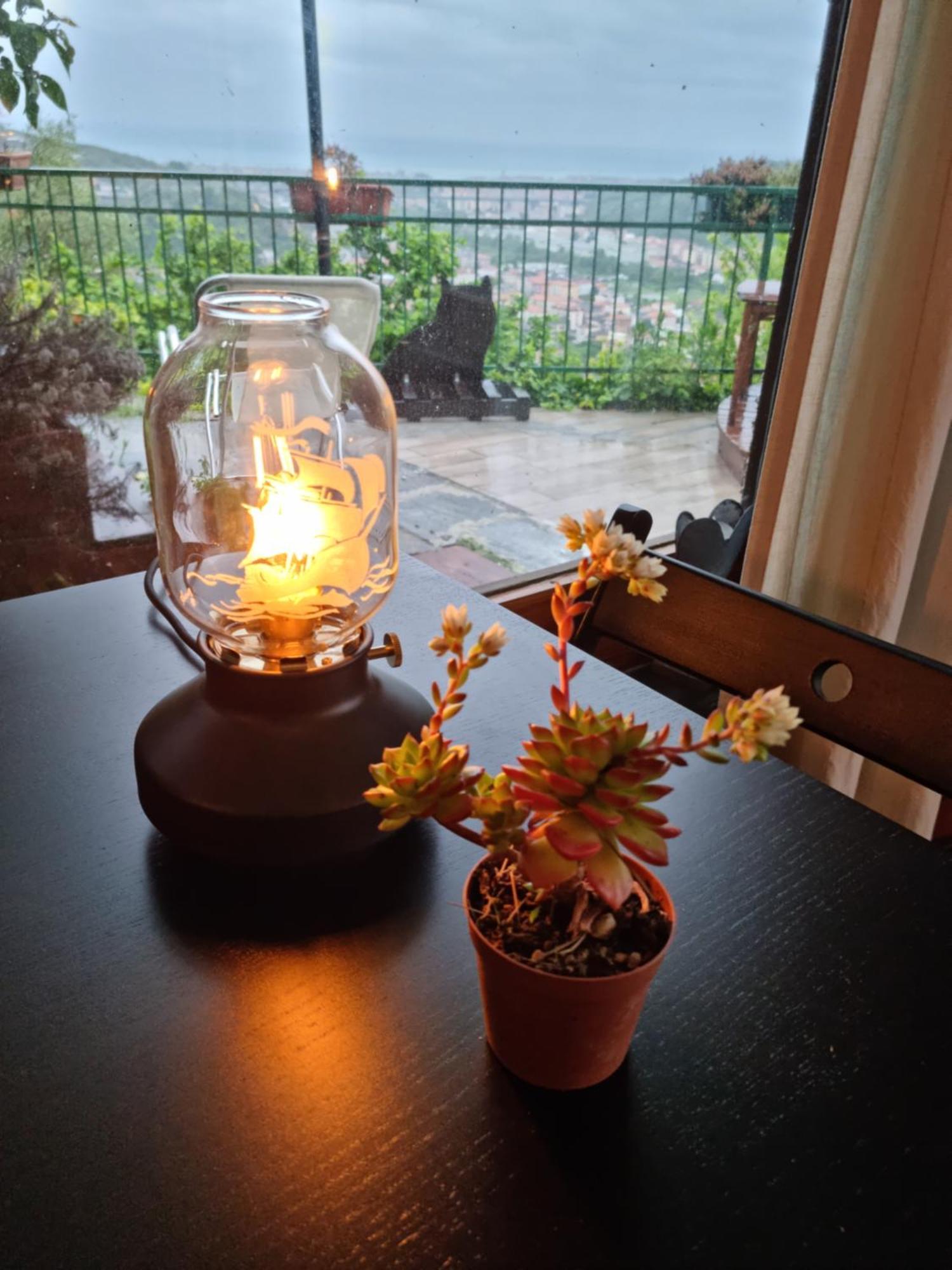 B&B La Terrazza Sui Fieschi Cogorno Zewnętrze zdjęcie