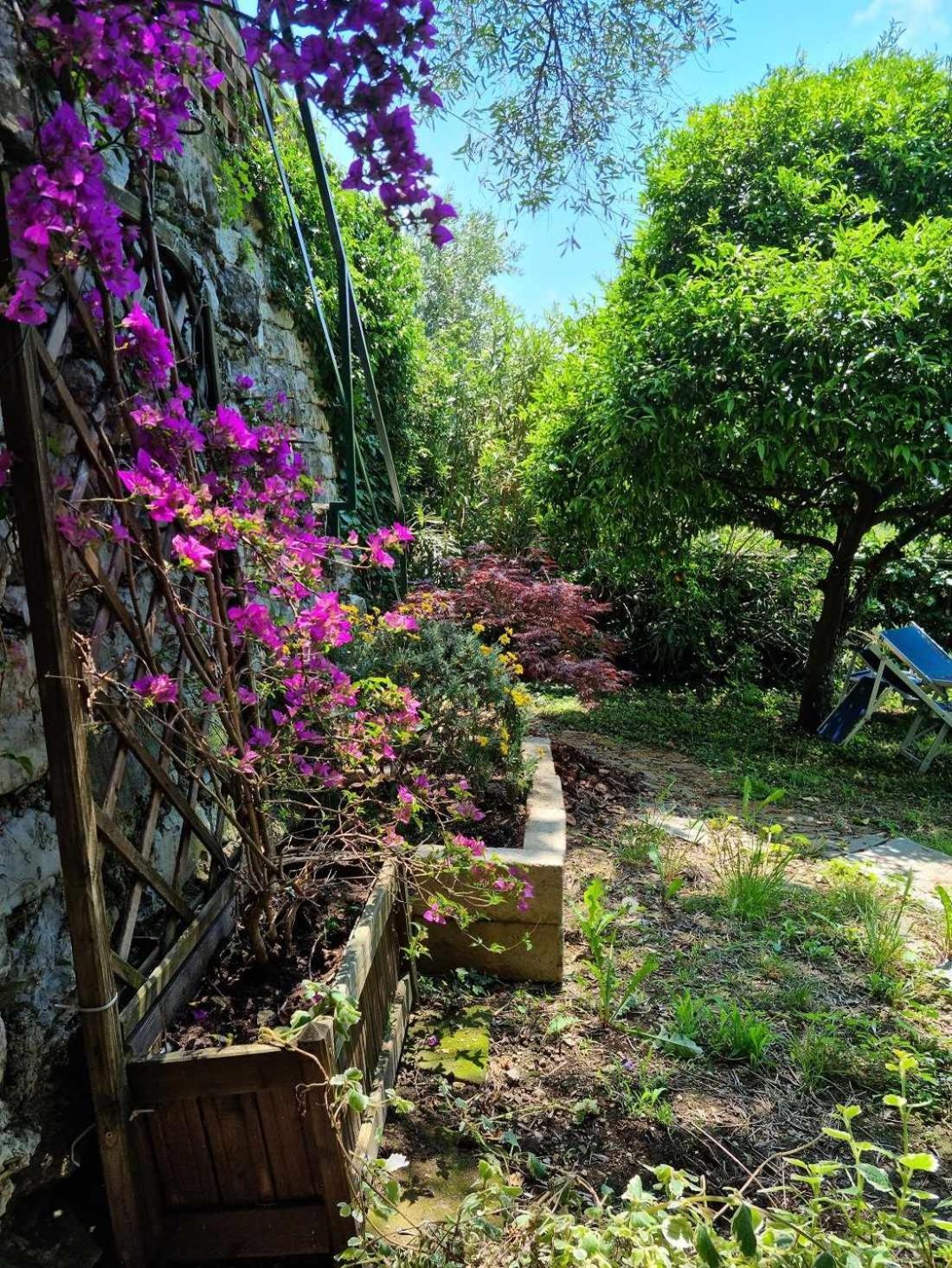 B&B La Terrazza Sui Fieschi Cogorno Pokój zdjęcie